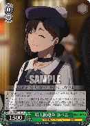 メール便不可】 ☆彡ハナハナオさま専用☆彡 その他 - studentaffairs